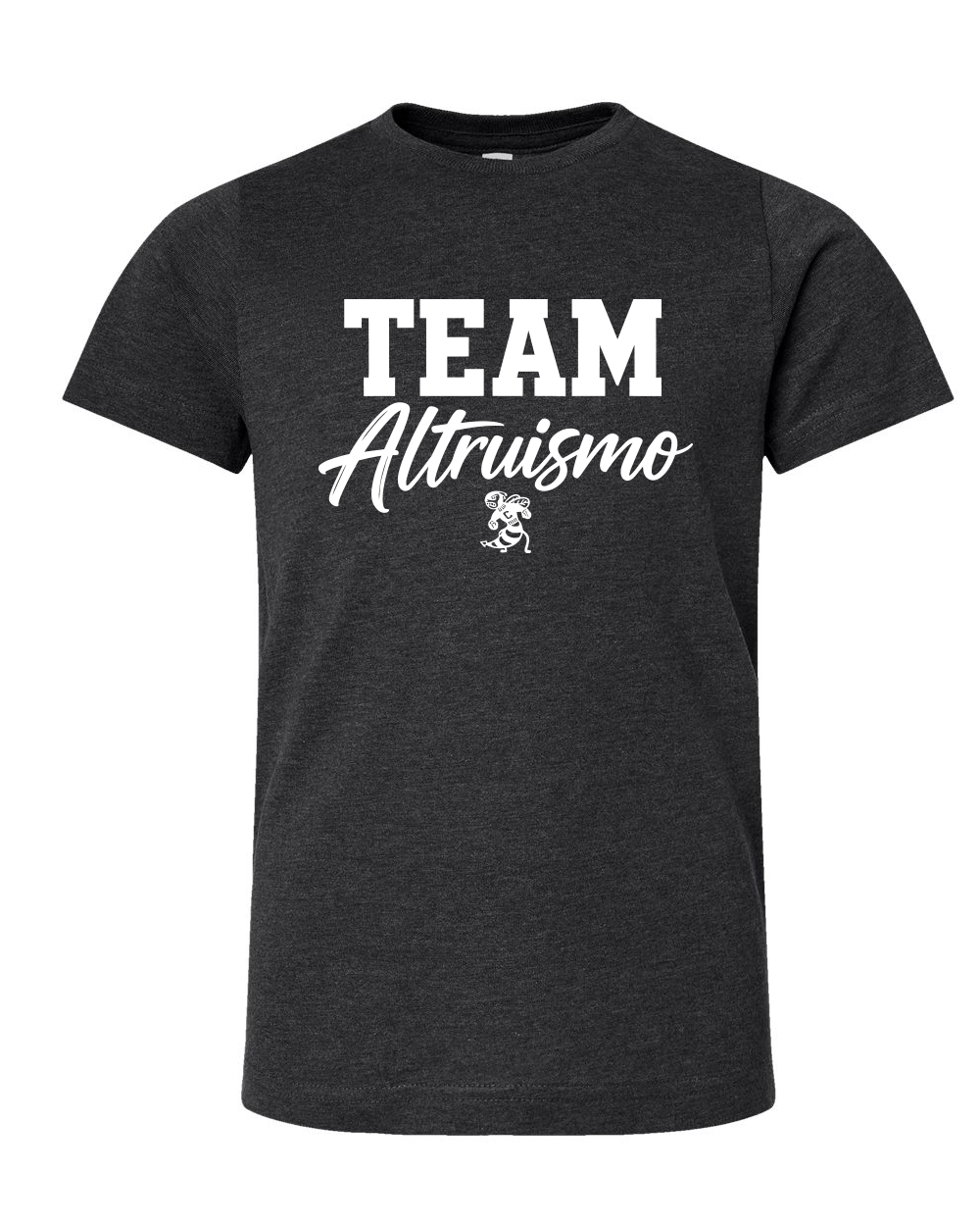 Choctaw Elementary - Team Altruismo
